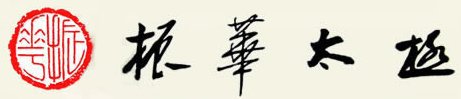 山東菏澤 振華太極