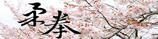 龍吟柔拳武道館